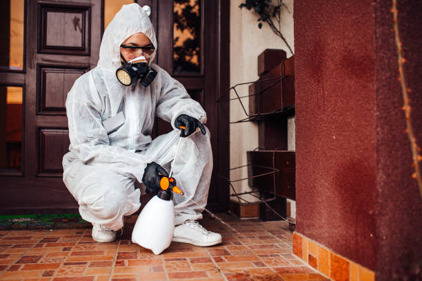 Reliable Bed Bug Control contractor in Somerset, MD by Nex Pest Control
