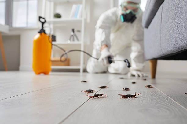 Trusted Fumigation Services service in Somerset, MD - Nex Pest Control