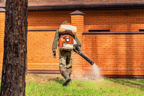 Trusted Bed Bug Control service in Somerset, MD - Nex Pest Control
